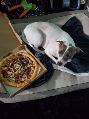  at Jug Band Coffee and Tea in Long Beach