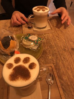 Muffin vegan   at La Gatera - Cat Café in Murcia