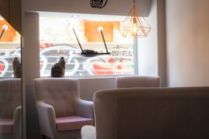 Local at La Gatera - Cat Café in Murcia