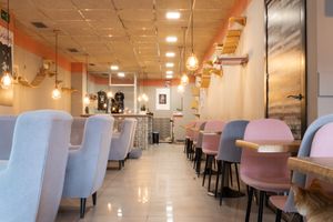 Local at La Gatera - Cat Café in Murcia