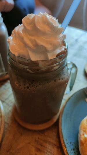  at La Gatera - Cat Café in Murcia