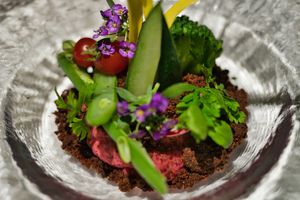   at OASIS GARDEN in Tokyo