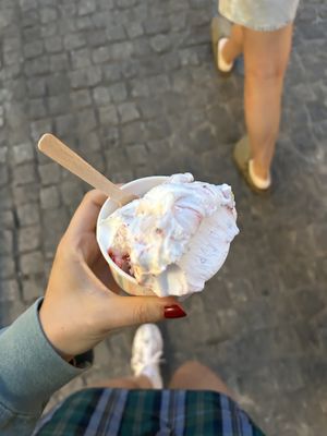 Cream and fruits vegan ice cream!  at Lodziarnia Rinella Gelato in Krakow