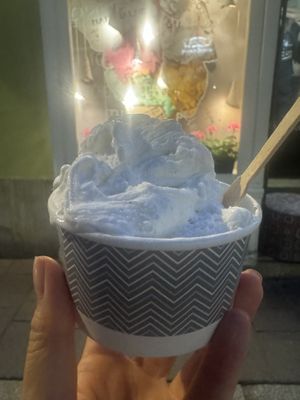 Vegan vanilla gelatoo  at Lodziarnia Rinella Gelato in Krakow