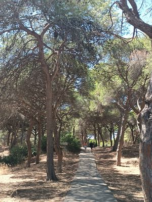  at Los Pinos in Rota