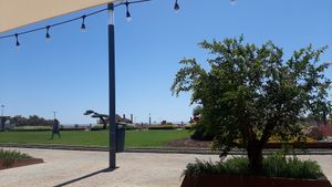  at The Green Affair in Cascais