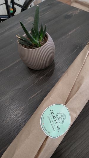 Ready to be eaten by hungry cats at Falafel Box in Tbilisi