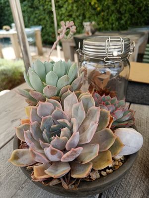  at Joujou Bistro in Bad Duerkheim