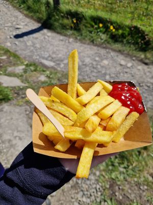 Normal fries with ketchup at The Hungry Veggie in Liscannor