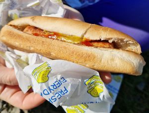 Not dog at The Hungry Veggie in Liscannor