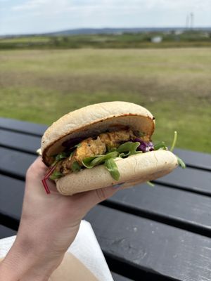   at The Hungry Veggie in Liscannor