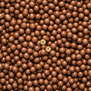 Holy Hazelnut zum niederknien 😍  at La Mara Chocolaterie  in Barbing