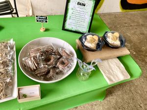 2.25.23 Pop Up 2/2  at Little Sprout - Pop Up in Charleston