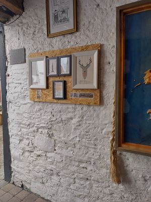 Interior at The Black Sheep Hostel & Coffee Shack in Killarney