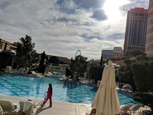 Poolside View at Wynn Hotel - Terrace Pointe Cafe in Las Vegas