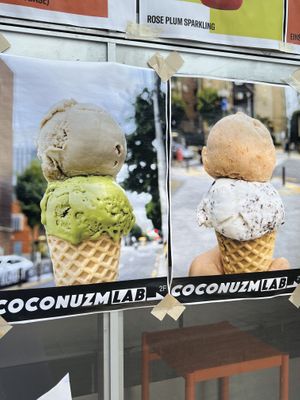popup  at Coconuzm - 코코넛즘 in Seoul