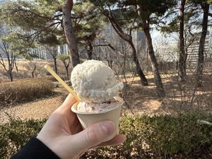   at Coconuzm - 코코넛즘 in Seoul