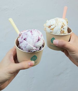 icecream to go (two scoops per cup) at Coconuzm - 코코넛즘 in Seoul