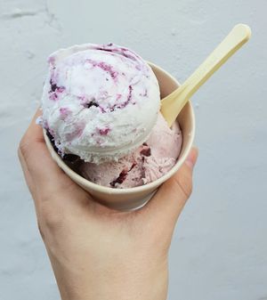 Blueberry lavender & cherry cinnamon at Coconuzm - 코코넛즘 in Seoul