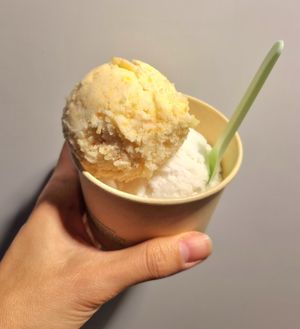 Fig sorbet and rice gelato at Coconuzm - 코코넛즘 in Seoul