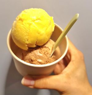 Persimmon sorbet and gochujang chocolate gelato at Coconuzm - 코코넛즘 in Seoul
