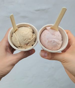 Fig & Pistachio gelato (left) and Fig Sorbet (right) at Coconuzm - 코코넛즘 in Seoul