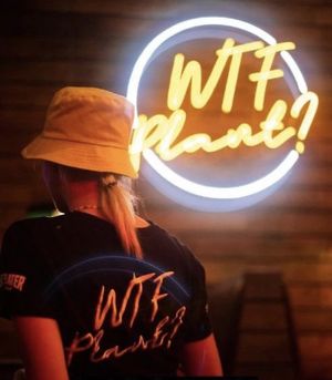   at Wtf Plant? in Cape Town