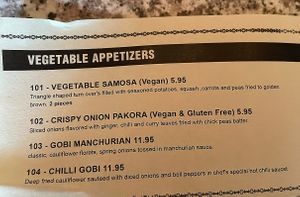 Aps  at Indian Paradise in Chicago