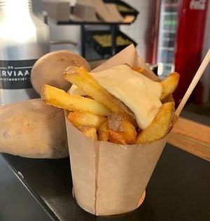   at De Werviaan in Den Helder