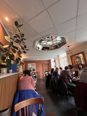   at Bird Flower in The Hague