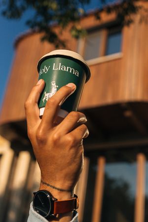   at Holy Llama  - Imittos in Athens