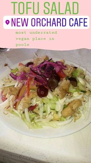 tofu salad  at New Orchard Cafe in Poole