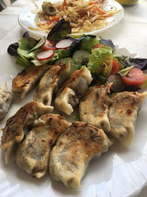 Vegan dumplings and vegan chow mein at New Orchard Cafe in Poole