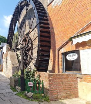 Working Water wheel in the courtyard garden and the mill workings are available to see inside the Tearoom.  at The Old Mill Tea Room in Dawlish