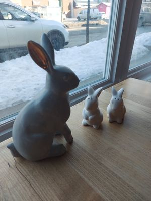 at The Clever Rabbit in Edmonton