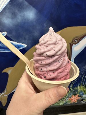 Vegan New Zealand style ice cream with mixed berries   at Welly's Real Fruit Ice Cream in Port Angeles