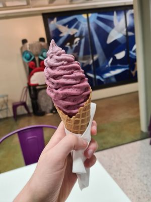  at Welly's Real Fruit Ice Cream in Port Angeles