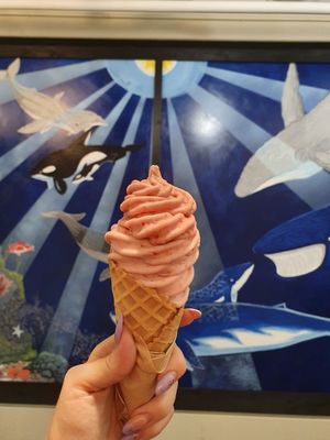 Strawberry at Welly's Real Fruit Ice Cream in Port Angeles