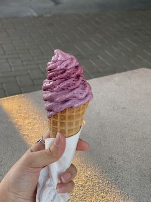 Berry vegan ice cream  at Welly's Real Fruit Ice Cream in Port Angeles