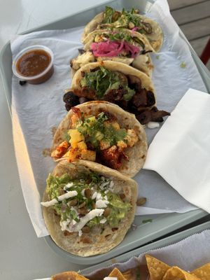 All 4 vegan tacos 😍  at Fonda Moderna in Tustin