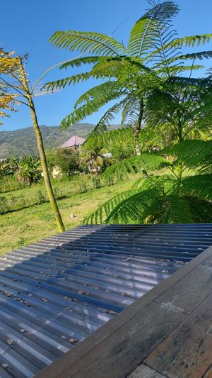 View from the terrace 1/2  at Coffeenosky in Lovina