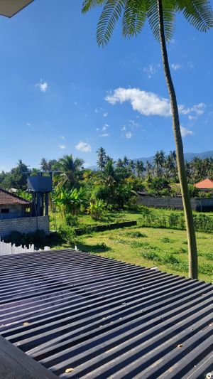 View from the terace 2/2  at Coffeenosky in Lovina