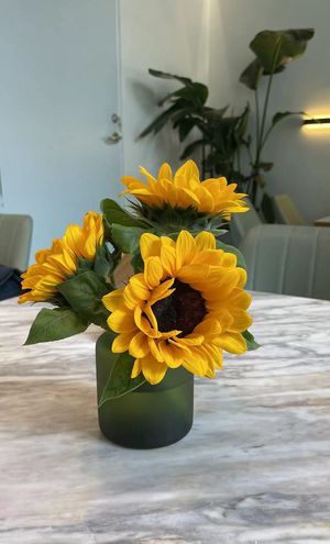 my favorite restaurants  at Just Vegan - 食蔬者也 in Shenzhen