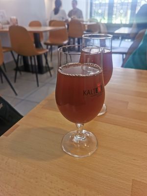 Homemade Kombucha at BEMBA rawfood & plant-based in Bratislava