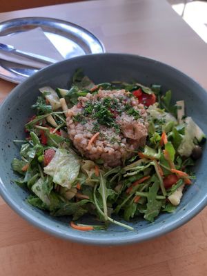 Buckwheat with oyster mushrooms and salad at BEMBA rawfood & plant-based in Bratislava