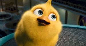 Macadamia Curry  at 8Things in Katoomba