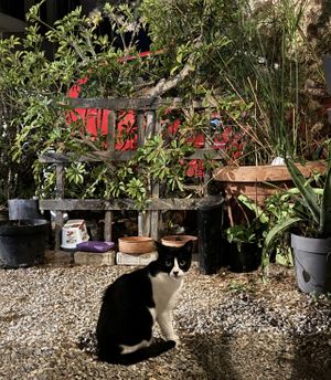   at Kanavatso in Crete