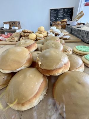 Biscoff buns  at Vegan Bay Baker in Aberdeen