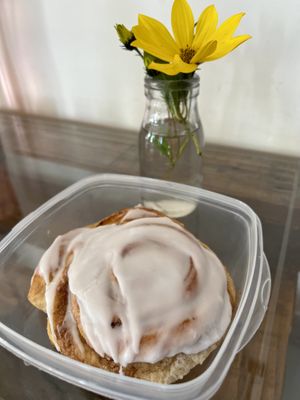 Cinnamon bun (takeaway in my own box)  at Vegan Bay Baker in Aberdeen