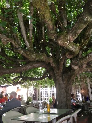 auf der Terrasse   at L'Angelo in Barbizon